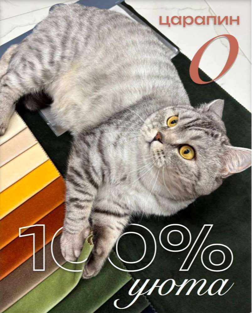 Выбор ткани